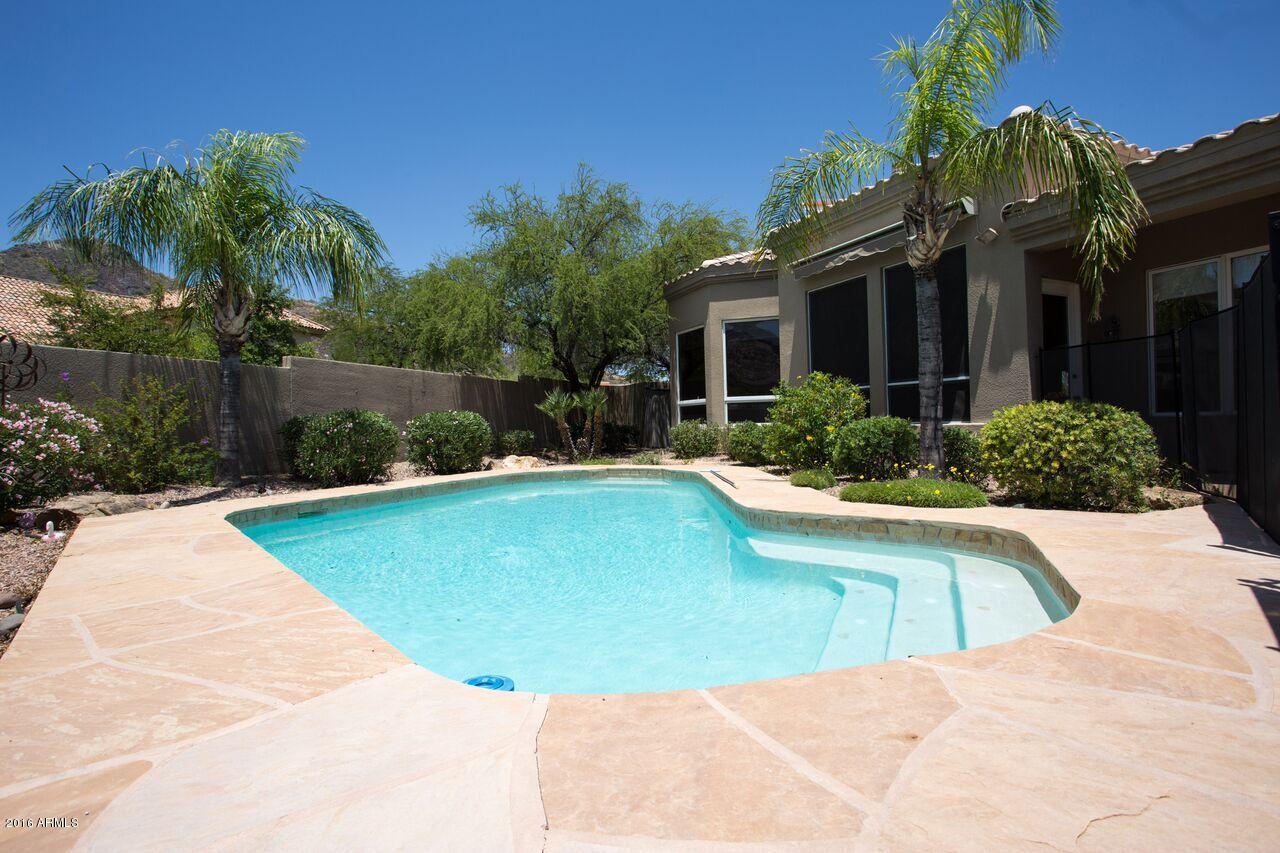 2301 East Mountain View Road Phoenix, AZ 85028 - Photo 48 of 58 Pool