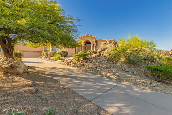 a view of a yard with of trees