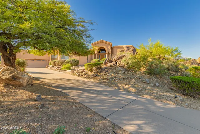 a view of a yard with of trees