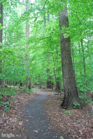 $2,500 | 8315 Bark Tree Court, Springfield, VA 22153