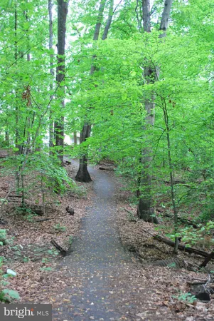 $2,500 | 8315 Bark Tree Court, Springfield, VA 22153