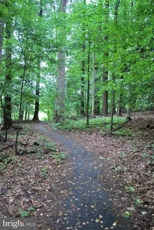 $2,500 | 8315 Bark Tree Court, Springfield, VA 22153