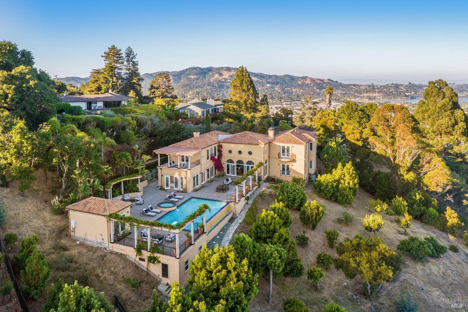 an aerial view of a house with a garden