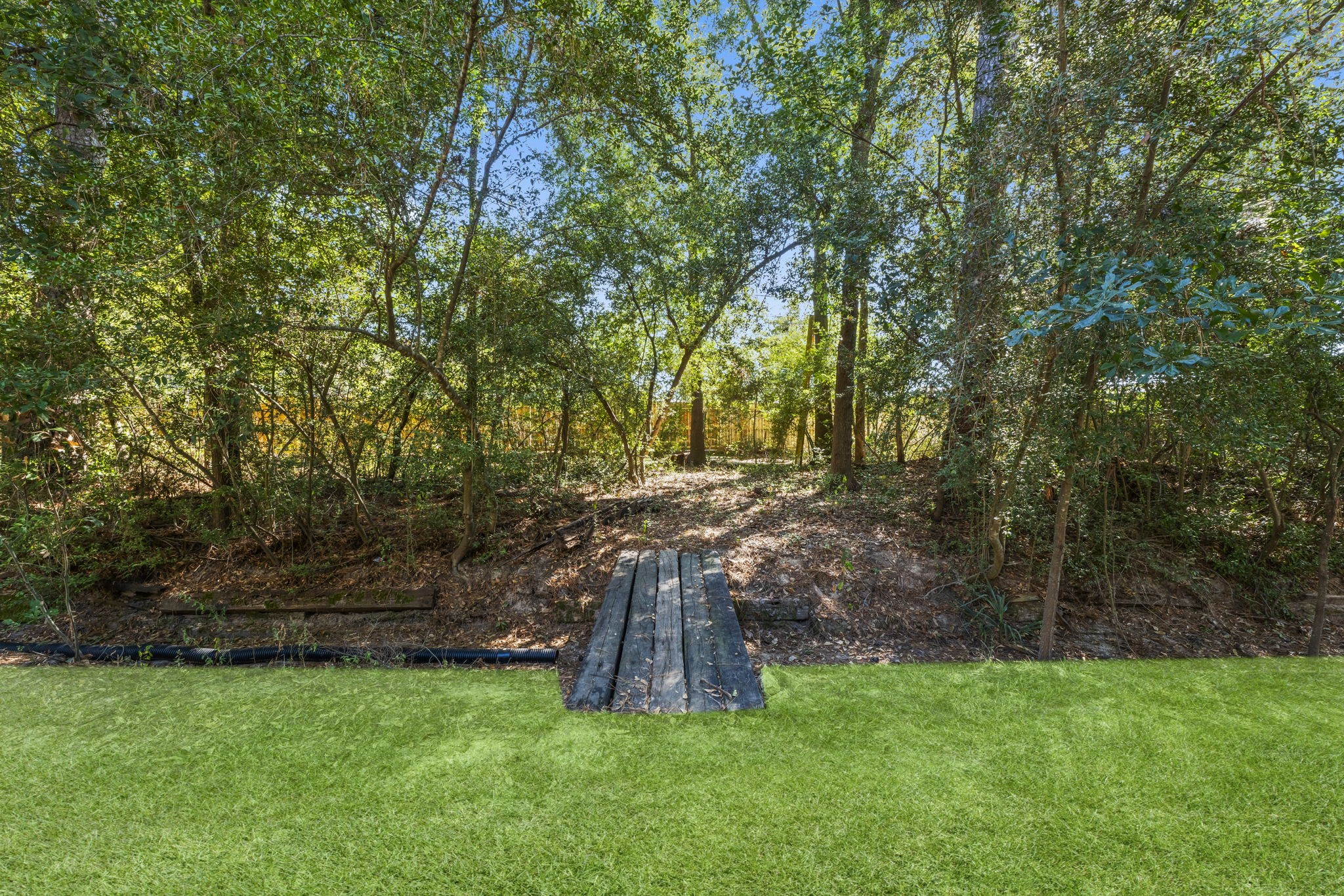 25206 Spring Ridge Drive Spring, TX 77386 - Photo 36 of 37 a view of a backyard with large trees