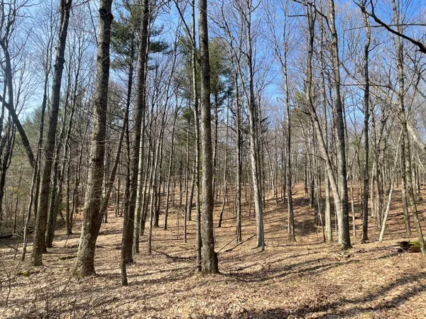 $149,900 | 5243 Basswood Drive, Newaygo, MI 49337