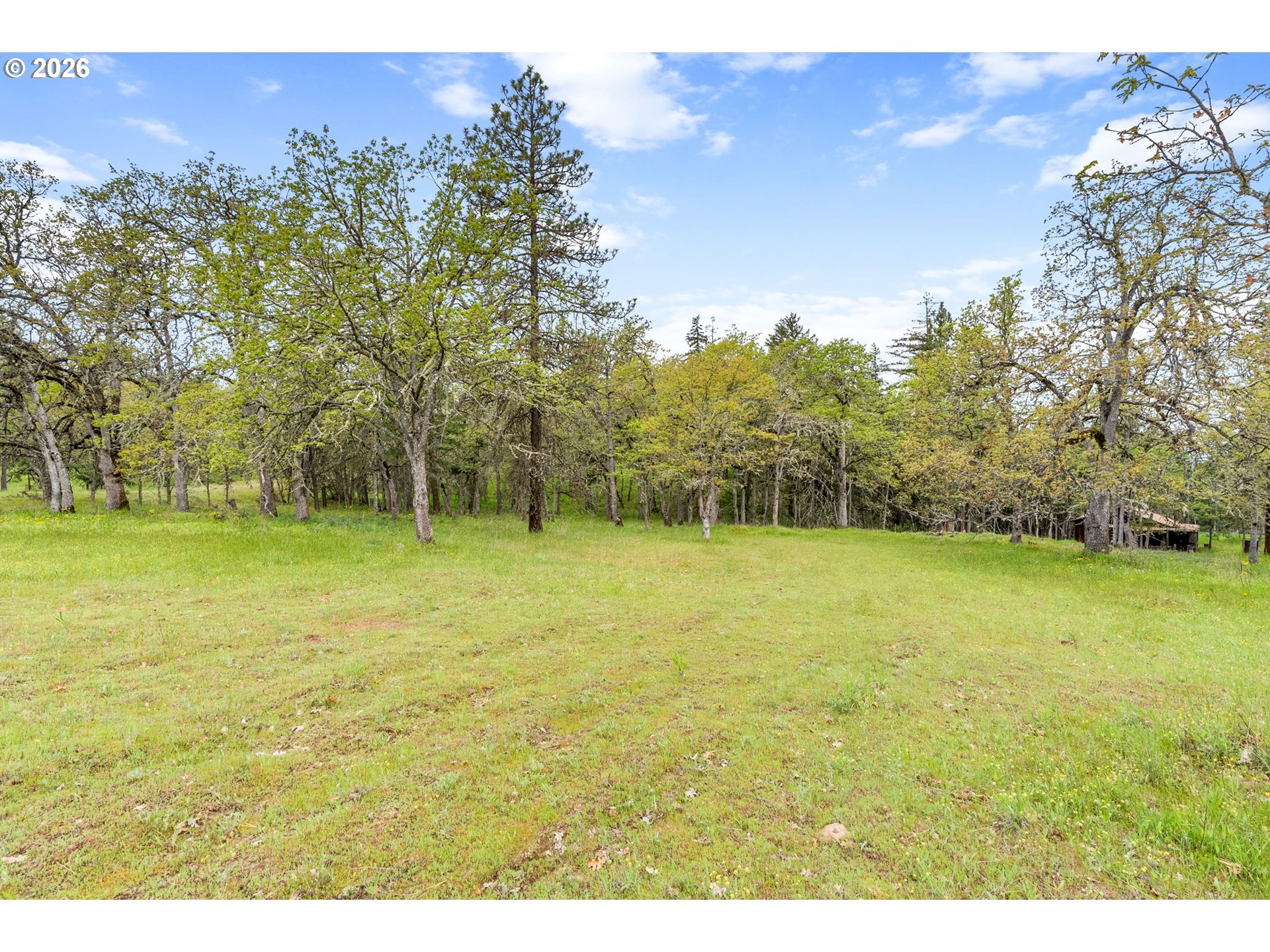 Evergreen Terrace Mosier, OR 97040 - Photo 7 of 22 a view of a yard with a tree