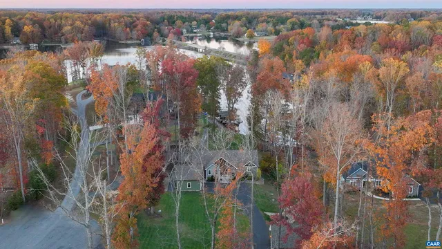 a view of a park with large trees