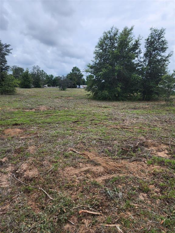 4975 East Triss Street Inverness, FL 34452 - Photo 2 of 3 Gallery Image 2