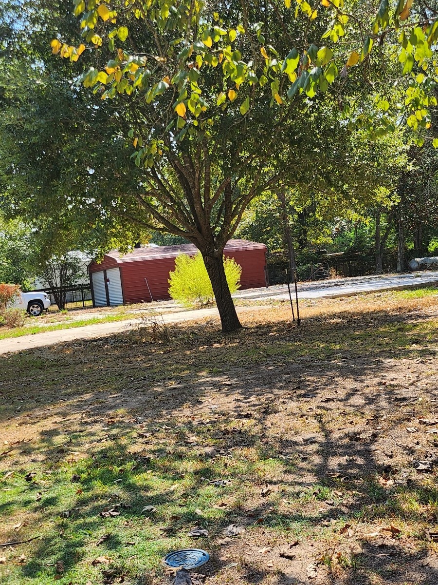 26002 Roping Pen Road Splendora, TX 77372 - Photo 6 of 7 a view of a yard with swimming pool