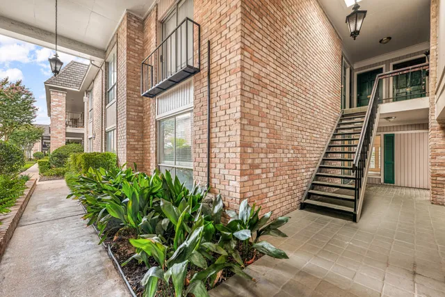 a view of a potted plants with sky view