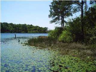 331 Defuniak Springs DeFuniak Springs, FL 32433 - Photo 1 of 1 Gallery Image 1
