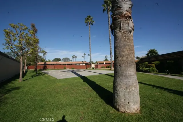 a view of a garden with a tree