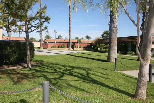 a view of a garden with small plants