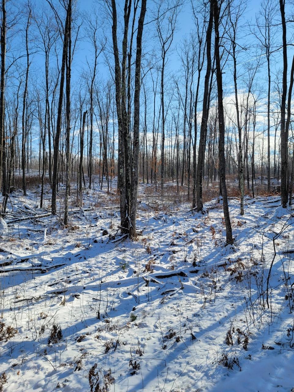 On Rollingwood Road Stone Lake, WI 54876 - Photo 26 of 32 Gallery Image 26