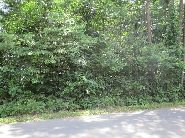 Muskogee Lane Bean Station, TN 37708 - Photo 1 of 9 IMG_0028