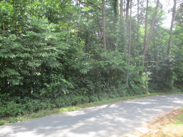Muskogee Lane Bean Station, TN 37708 - Photo 2 of 9 IMG_0029