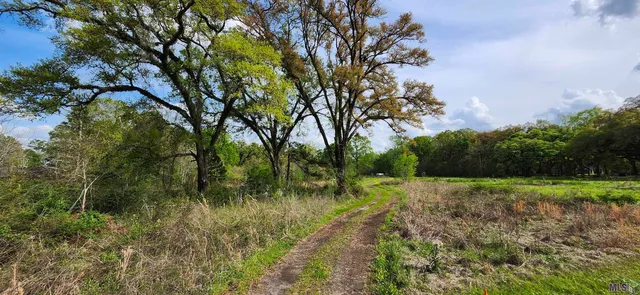 $64,000 | 6156 Joor Road, Baton Rouge, LA 70811