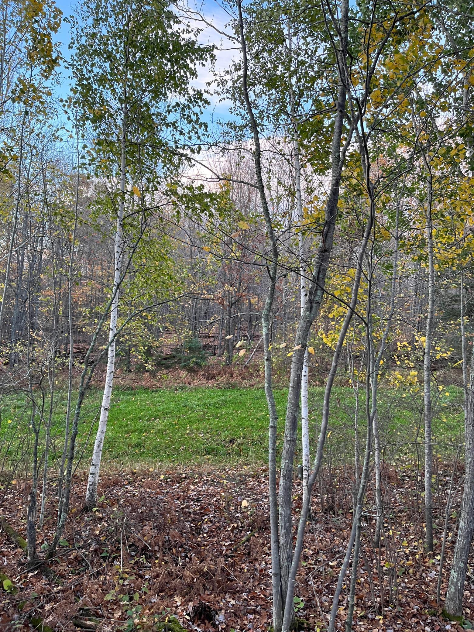 Tbd Timberline Drive Grand Rapids, MN 55744 - Photo 1 of 2