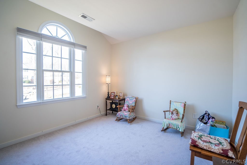 10907 Arbor Ridge Terrace Chester, VA 23831 - Photo 19 of 37 Gallery Image 19