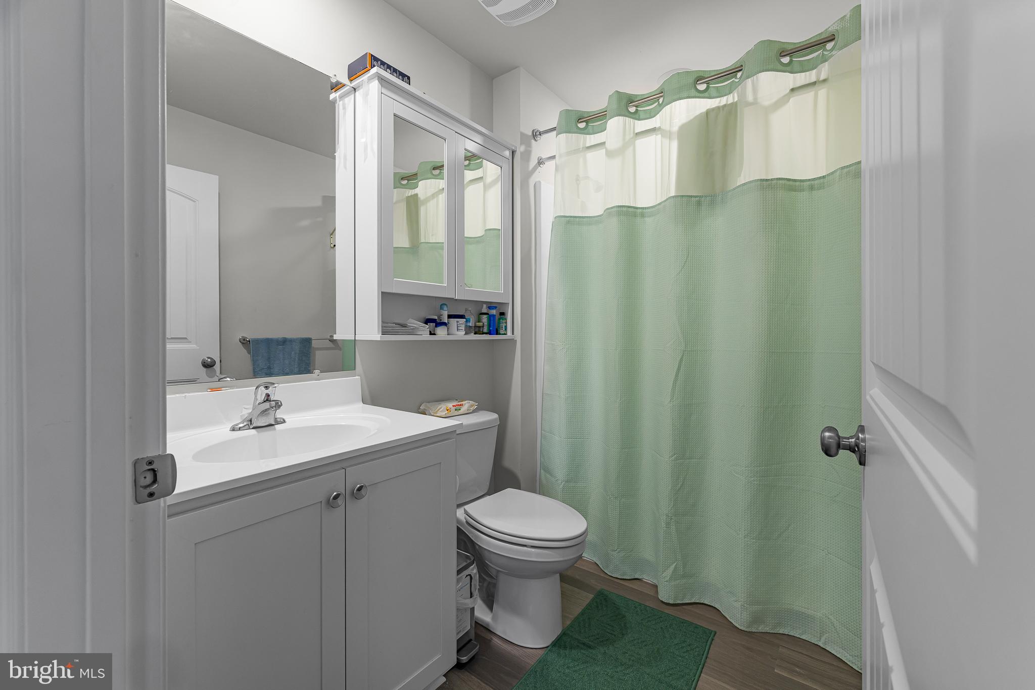 459 Currant Circle Magnolia, DE 19962 - Photo 32 of 39 a bathroom with a sink toilet and shower