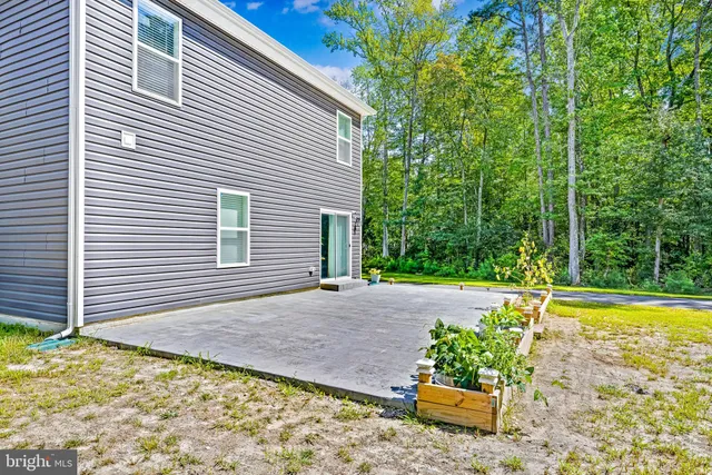 a view of a backyard with plants and large trees