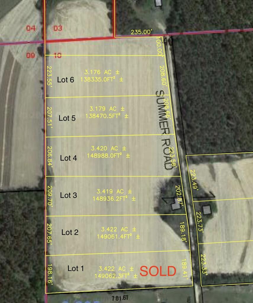 3.17-acres Summer Road Slocomb, AL 36375 - Photo 3 of 5