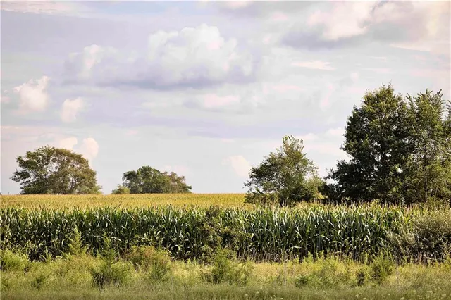 $77,000 | East 225th Lane, Ridgeway, MO 64481