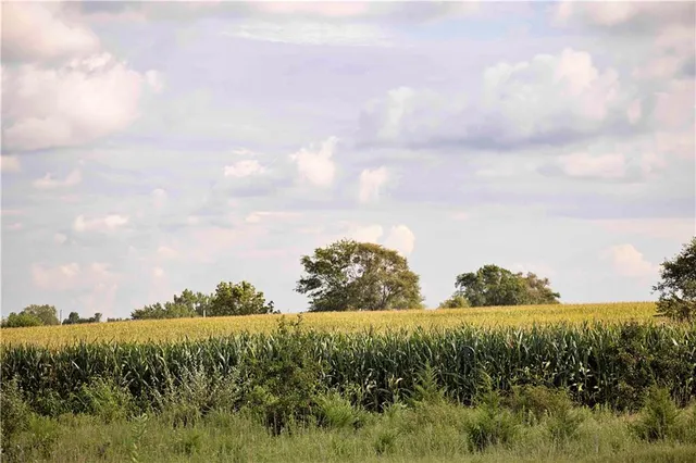 $77,000 | East 225th Lane, Ridgeway, MO 64481