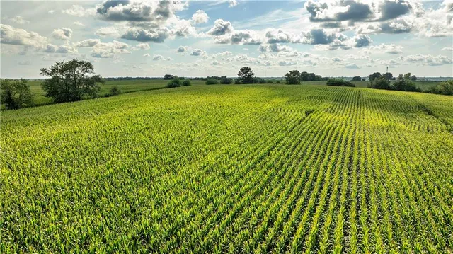 $77,000 | East 225th Lane, Ridgeway, MO 64481