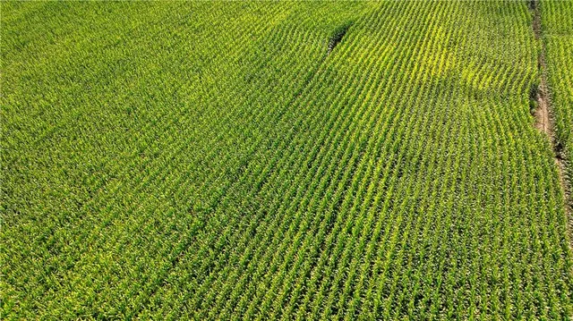 $77,000 | East 225th Lane, Ridgeway, MO 64481