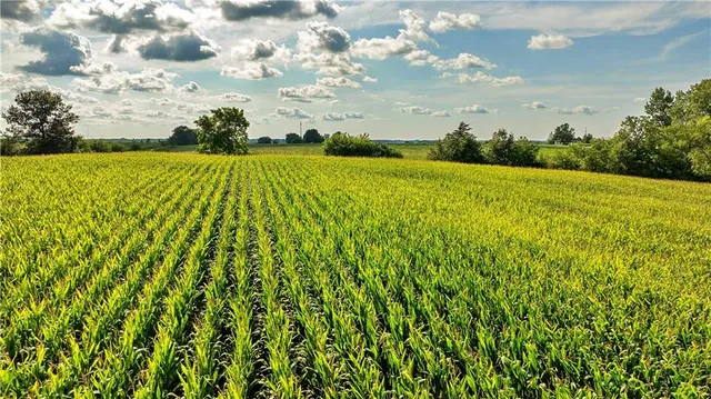 $77,000 | East 225th Lane, Ridgeway, MO 64481