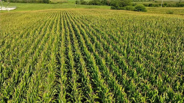 $77,000 | East 225th Lane, Ridgeway, MO 64481