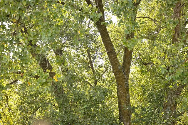 $77,000 | East 225th Lane, Ridgeway, MO 64481