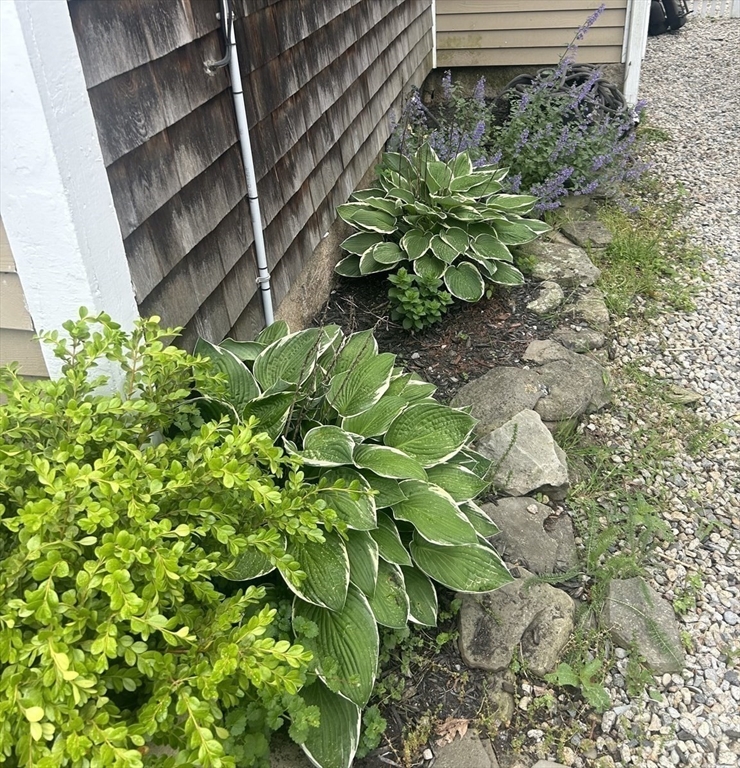 9 Maple Street Kingston, MA 02364 - Photo 3 of 31 a backyard of a house