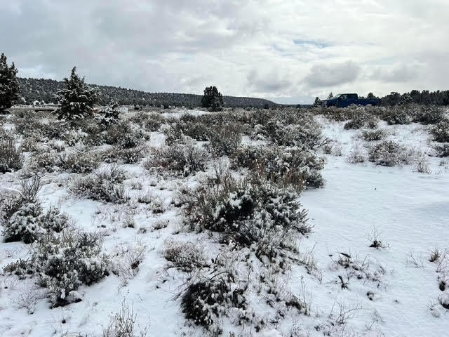 6520 Do Bend, OR 97701 - Photo 13 of 22 unnamed-11