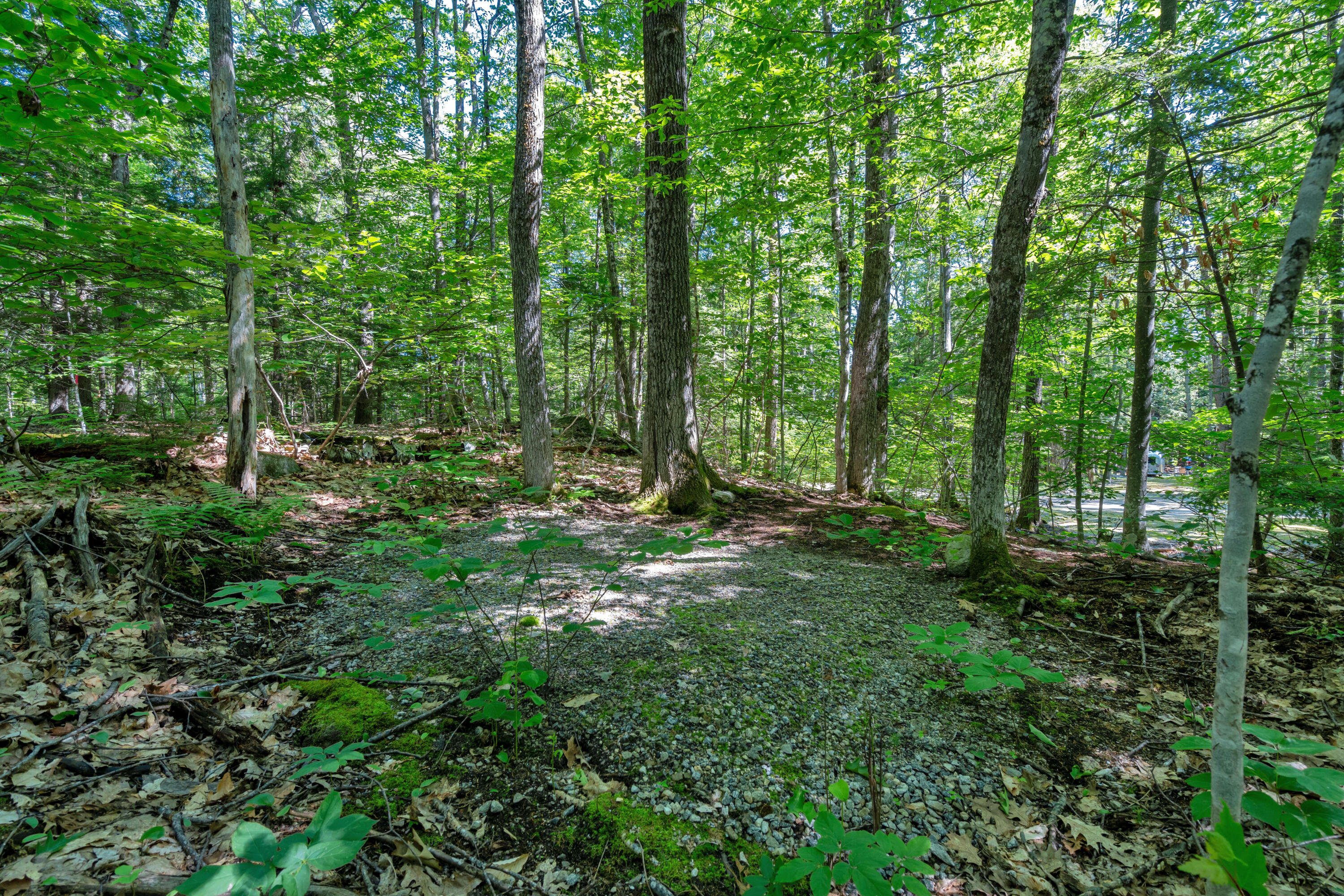 0 Stevens Cove Road Bridgton, ME 04009 - Photo 31 of 39 DSC09616