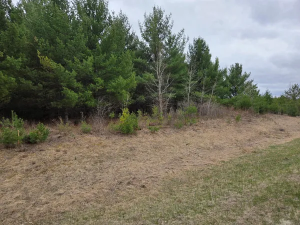 $45,000 | Tbd Tbd 450th Street, Laporte, MN 56461