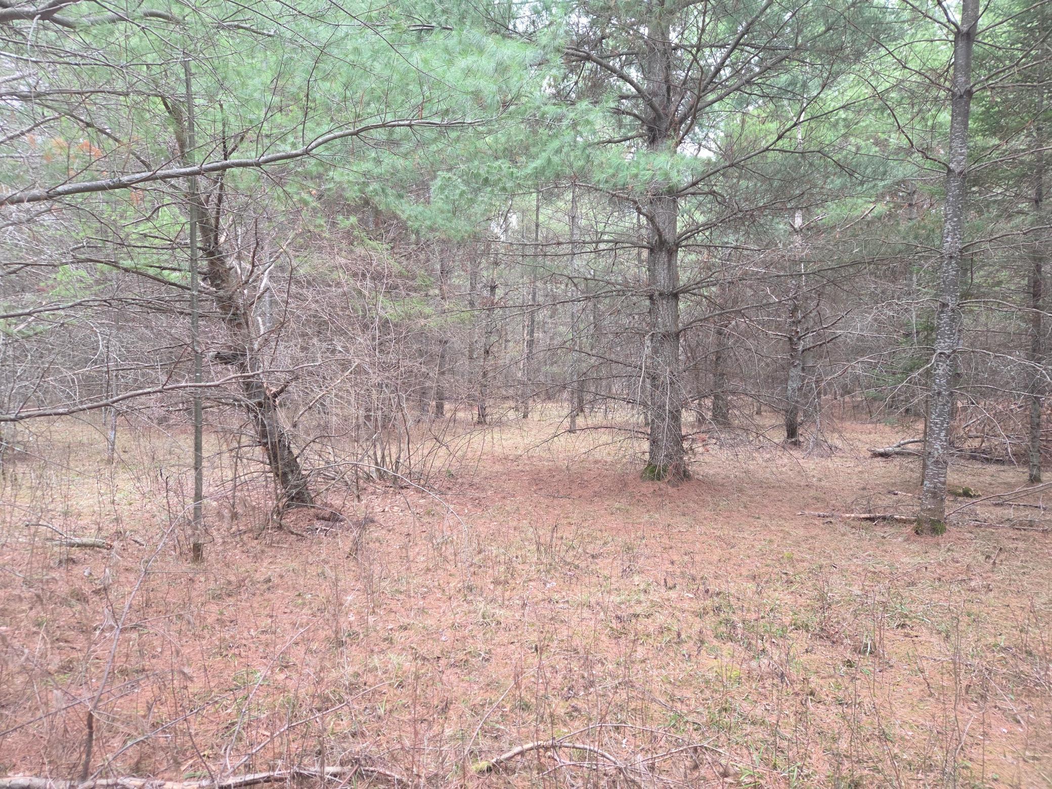 Tbd Tbd 450th Street Laporte, MN 56461 - Photo 2 of 4