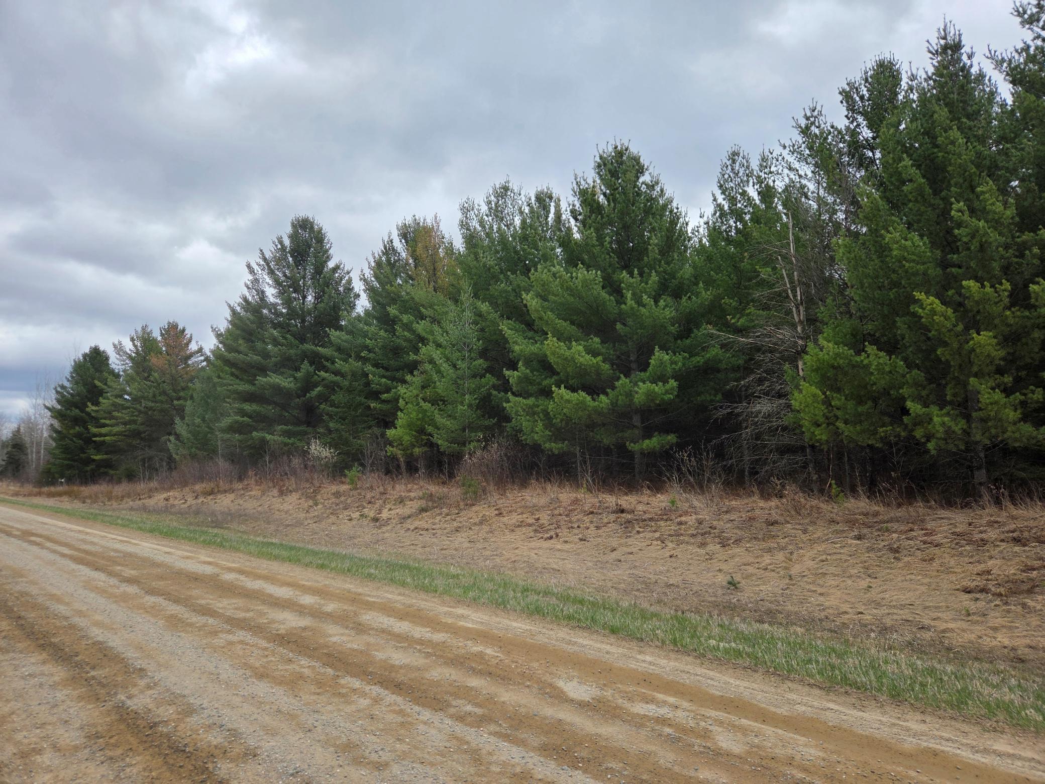 Tbd Tbd 450th Street Laporte, MN 56461 - Photo 4 of 4