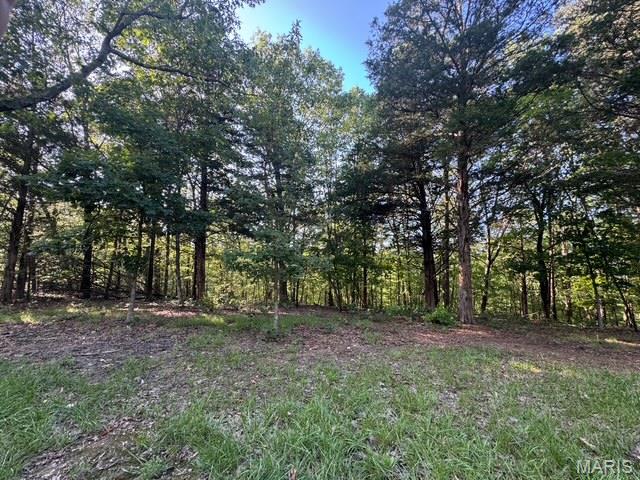 130 Steeple Point Drive Defiance, MO 63341 - Photo 2 of 9