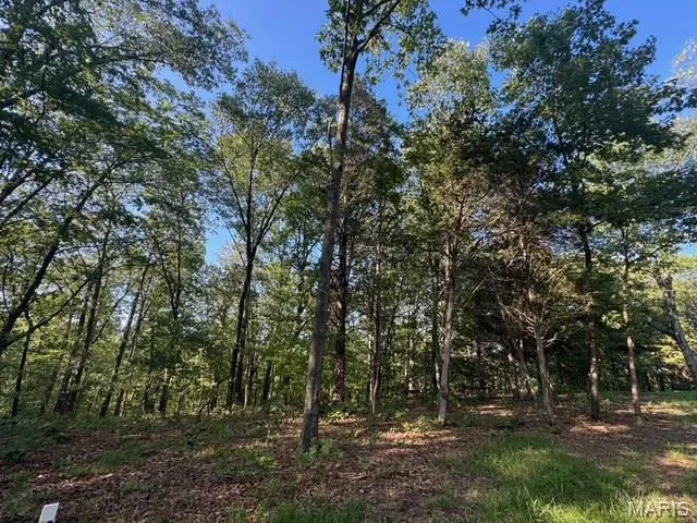 $151,000 | 130 Steeple Point Drive, Defiance, MO 63341