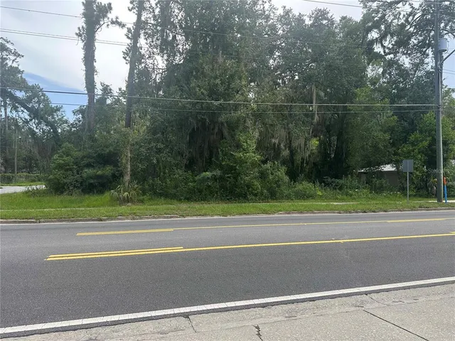 a view of a road with a yard and large trees