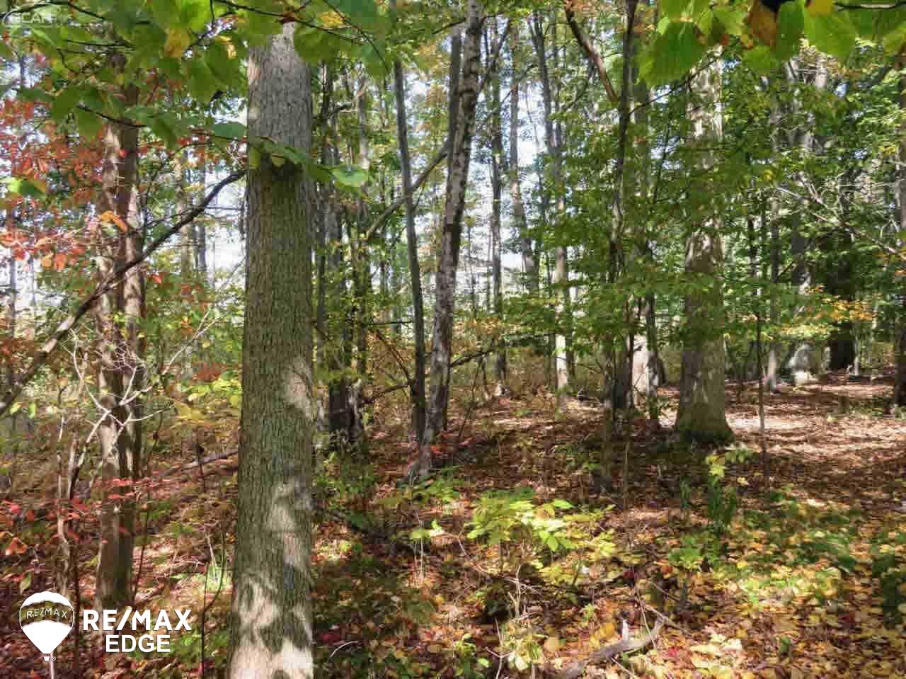 10388 North Oak Road Otisville, MI 48463 - Photo 18 of 21 Gallery Image 18