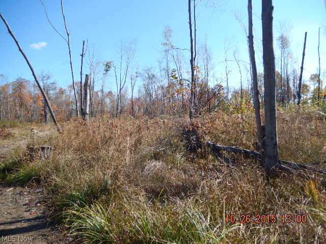 2372 State Rte 534 Geneva, OH 44041 - Photo 24 of 25 Gallery Image 24