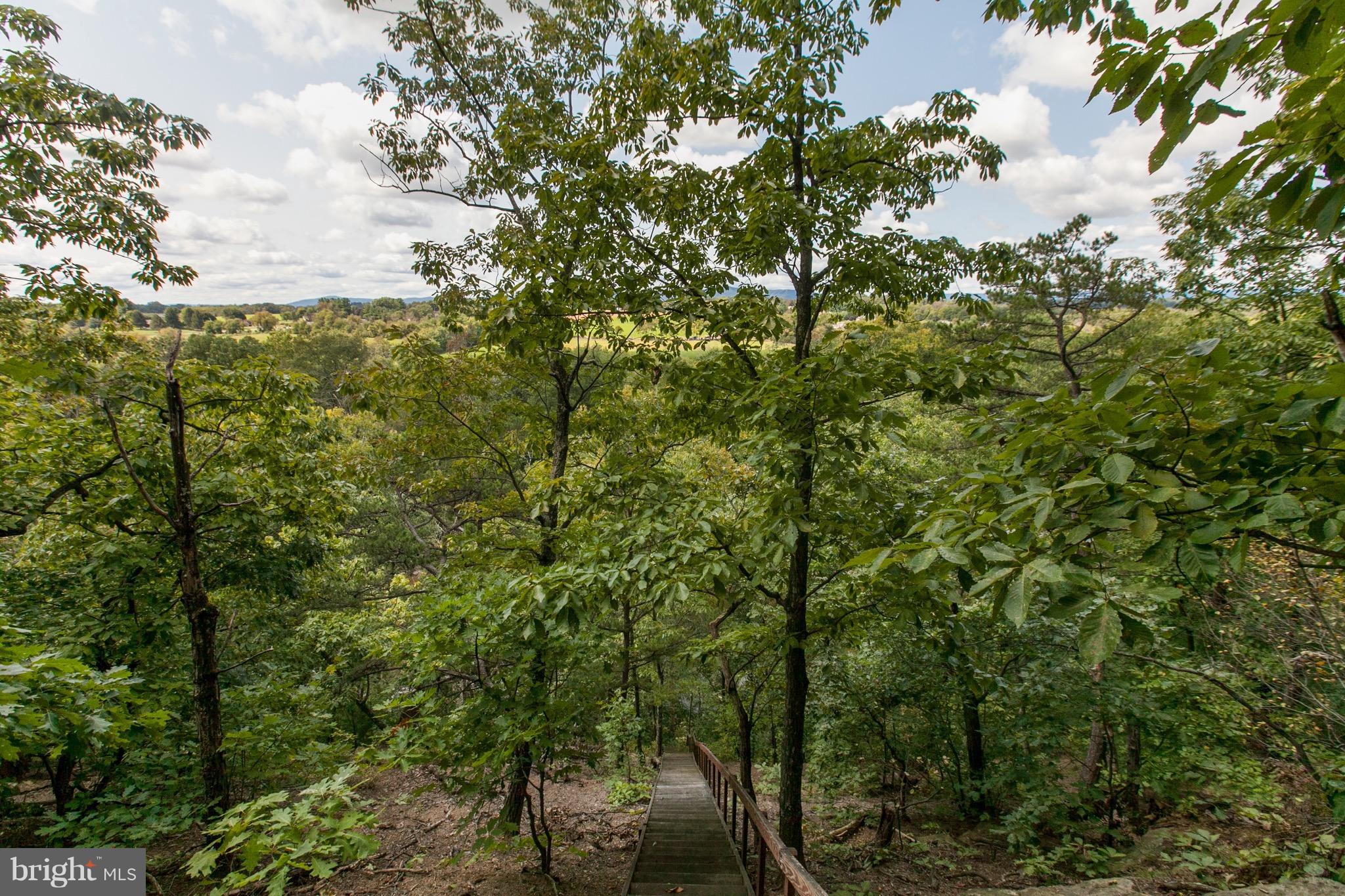 16936 Shinham Road Hagerstown, MD 21740 - Photo 14 of 30 creek!