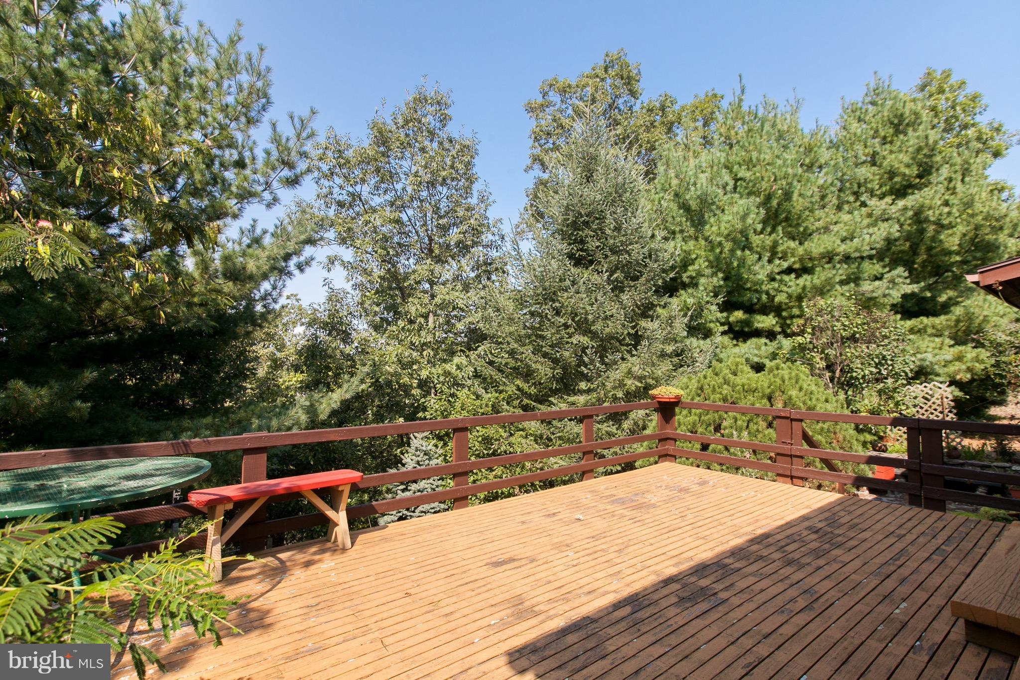 16936 Shinham Road Hagerstown, MD 21740 - Photo 8 of 30 deck overlooking rear yard and down to the creek