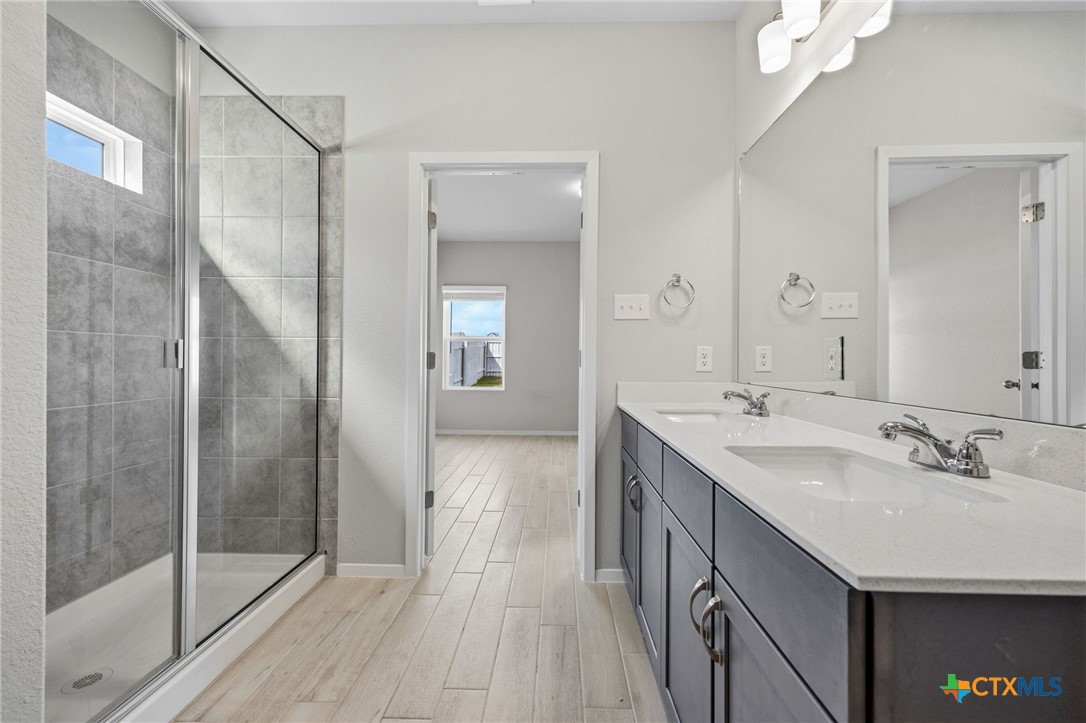 251 Chesterfield Drive Kyle, TX 78640 - Photo 3 of 24 a spacious bathroom with a shower a sink and a mirror