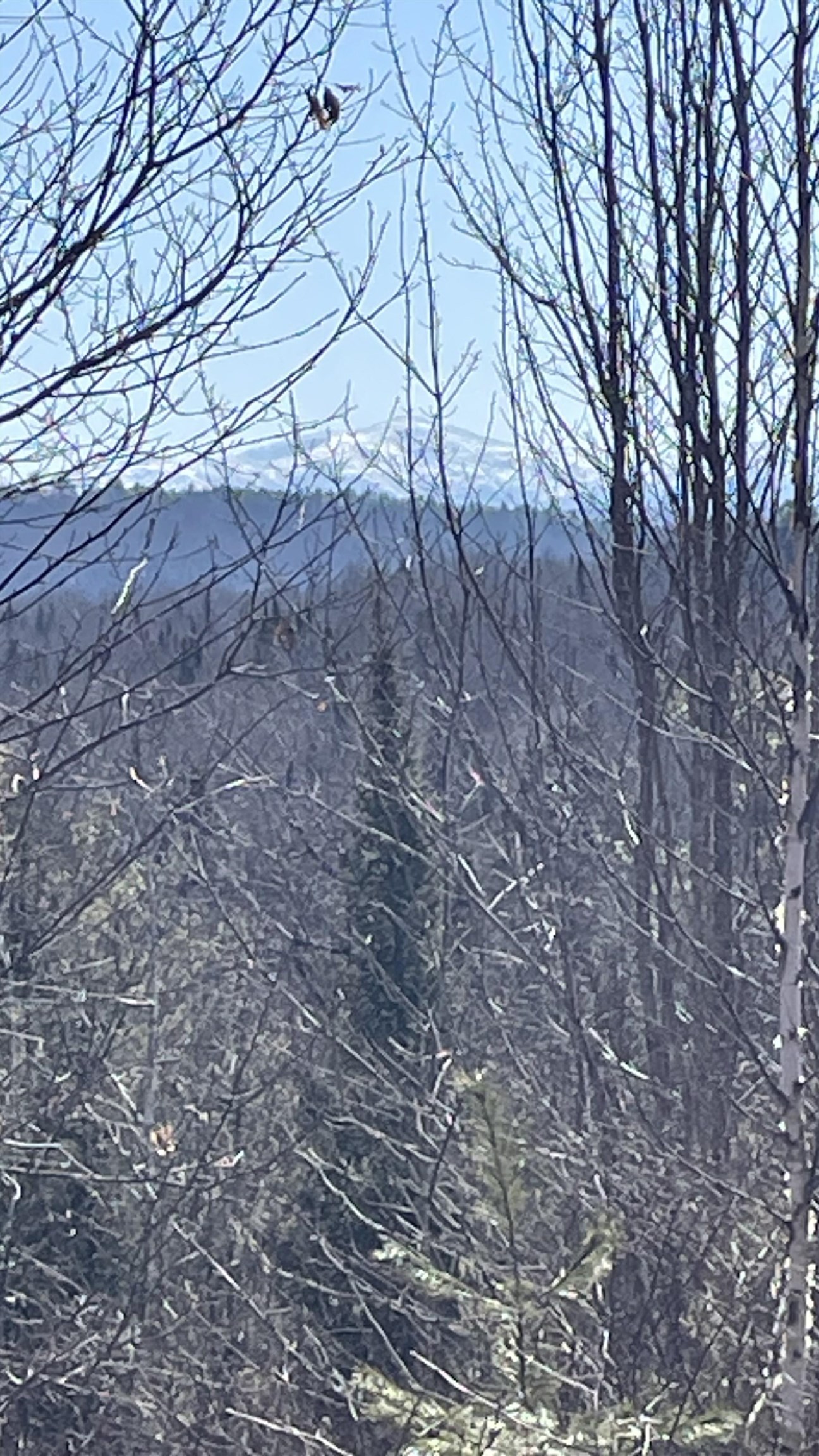 49-50 Whitefield Road Bethlehem, NH 03574 - Photo 11 of 21