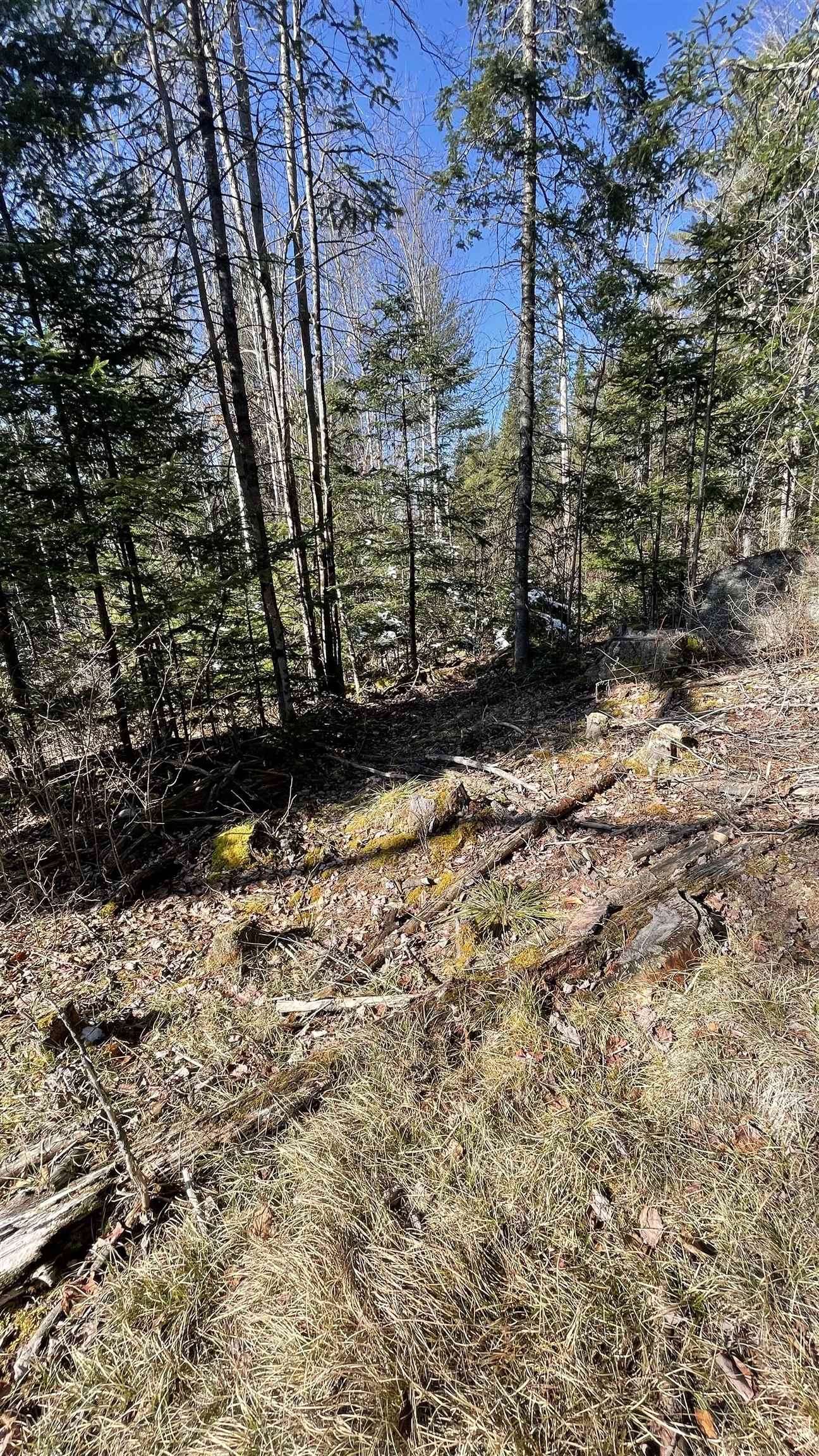 49-50 Whitefield Road Bethlehem, NH 03574 - Photo 18 of 21