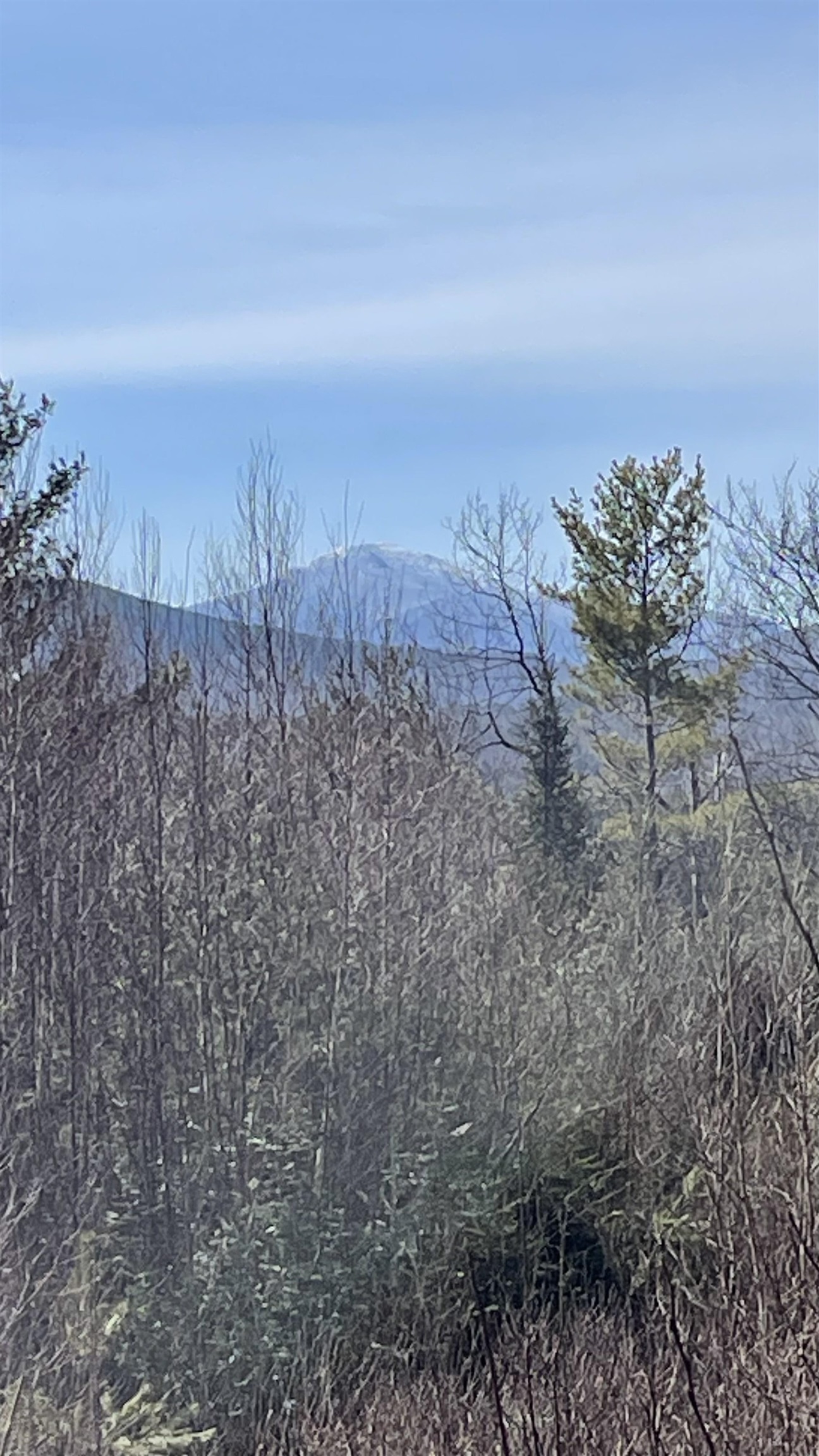 49-50 Whitefield Road Bethlehem, NH 03574 - Photo 4 of 21